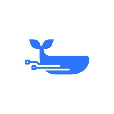 Dewhales Capital logo