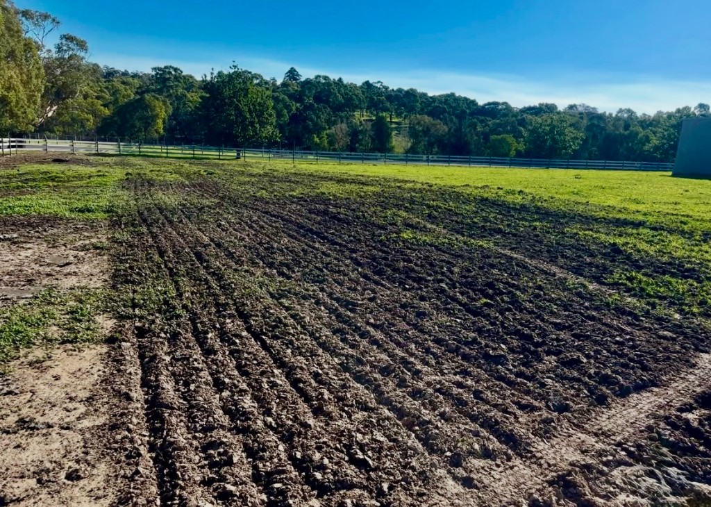 Freshly plowed rows in a field with fence and trees beyond
