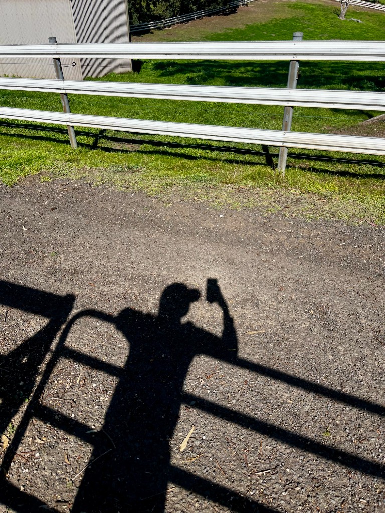 Shadow on a gravel path in the countryside